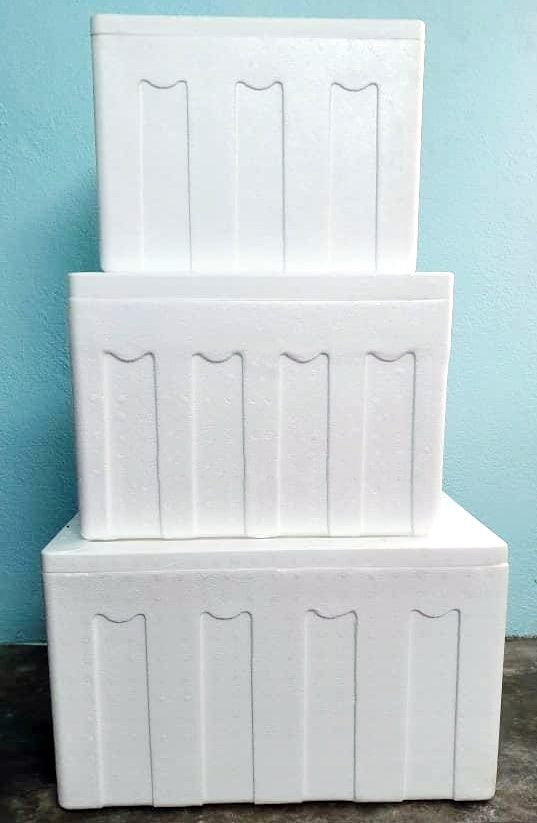 polystyrene cooler box price